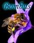 Bombus